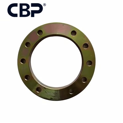 332101389 Bearing Plate Għal XDA45